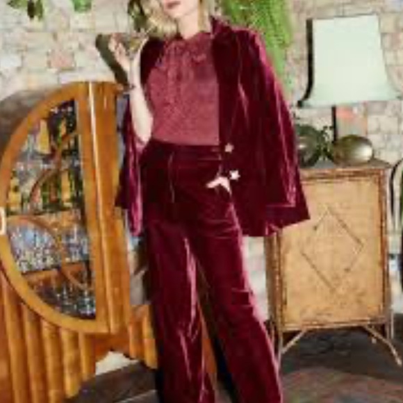 Banana Republic Norte Velvet Pleated Pant 8 | Red Madder - Picture 5 of 8